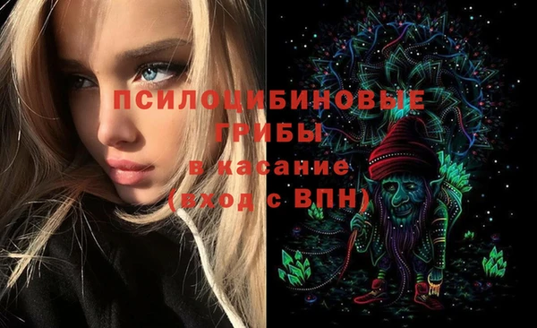 метамфетамин Богданович