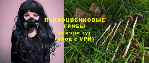 стафф Богородицк