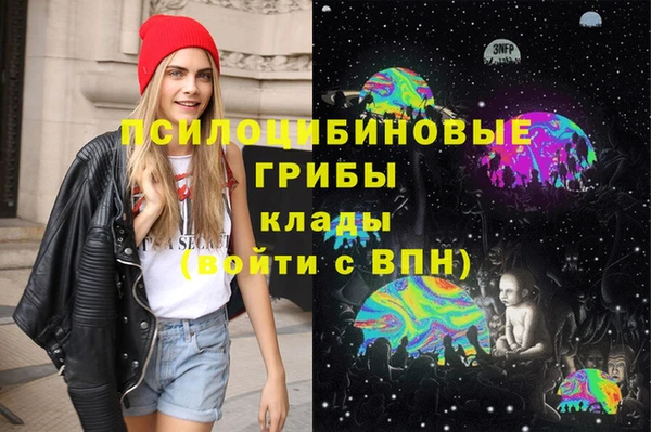 метамфетамин Богданович